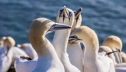 普京：俄军在对乌行动中试验新型中程高超音速导弹