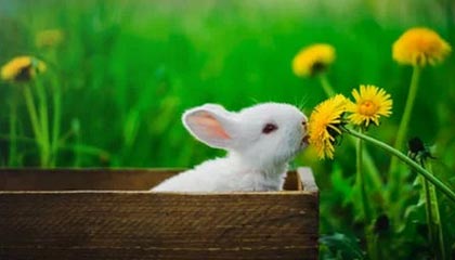 上海再现“秋老虎”！今日最高温再冲30℃+ ，预报中的雨没来？别急！周末冷空气携风雨终结闷热