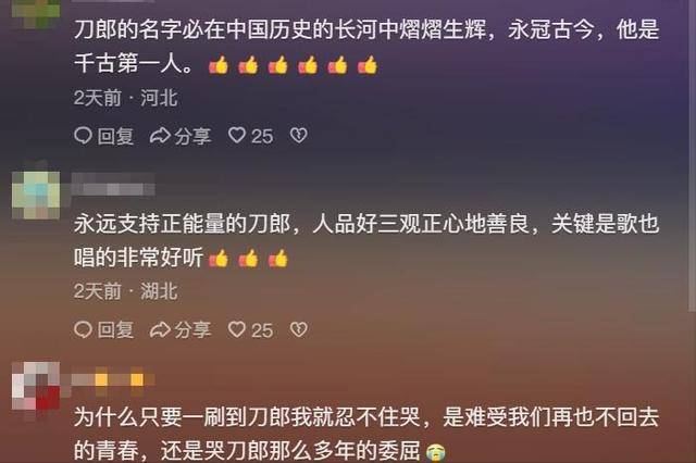 因为一句话，那英背了整整13年黑锅，刀郎早就一语道破却无人相信