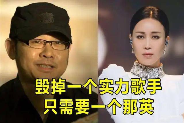 因为一句话，那英背了整整13年黑锅，刀郎早就一语道破却无人相信