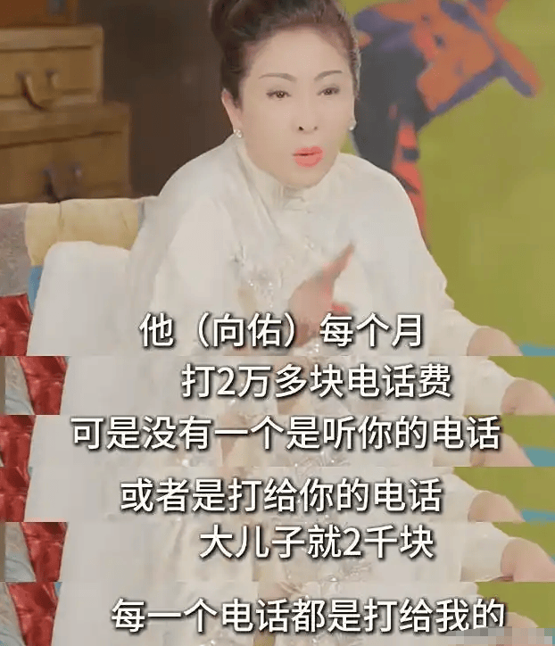考古 | 向太小儿子向佑罕见露面！曾惹怒大佬高呼我爸是向华强，与母亲决裂真相曝光