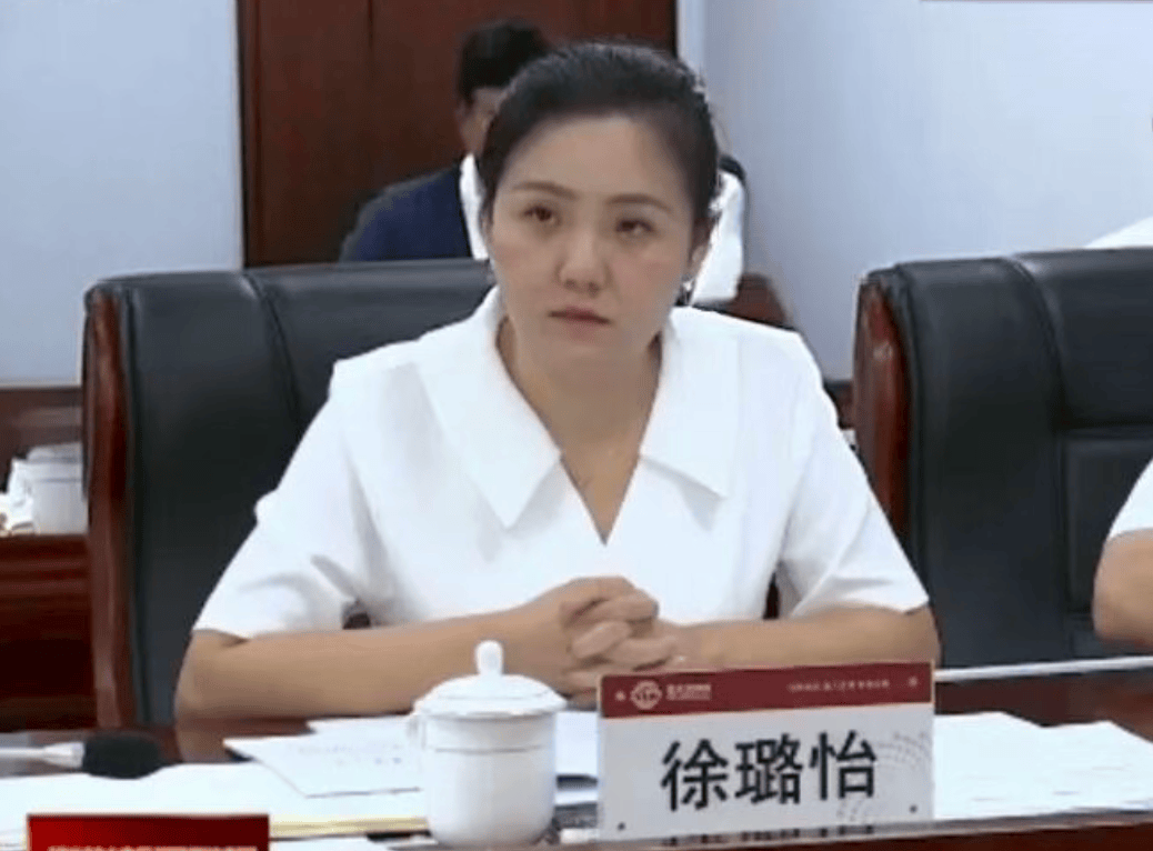 涉嫌严重违纪违法，徐璐怡被查